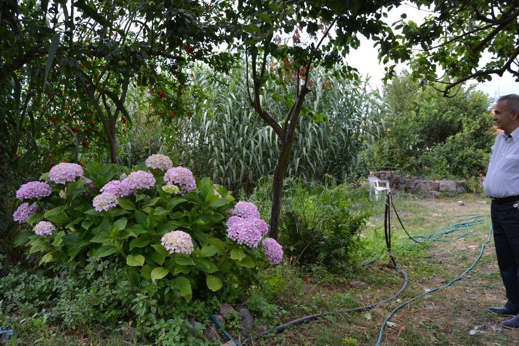Su Cantaru Guesthouse Villanova Monteleone Exterior photo