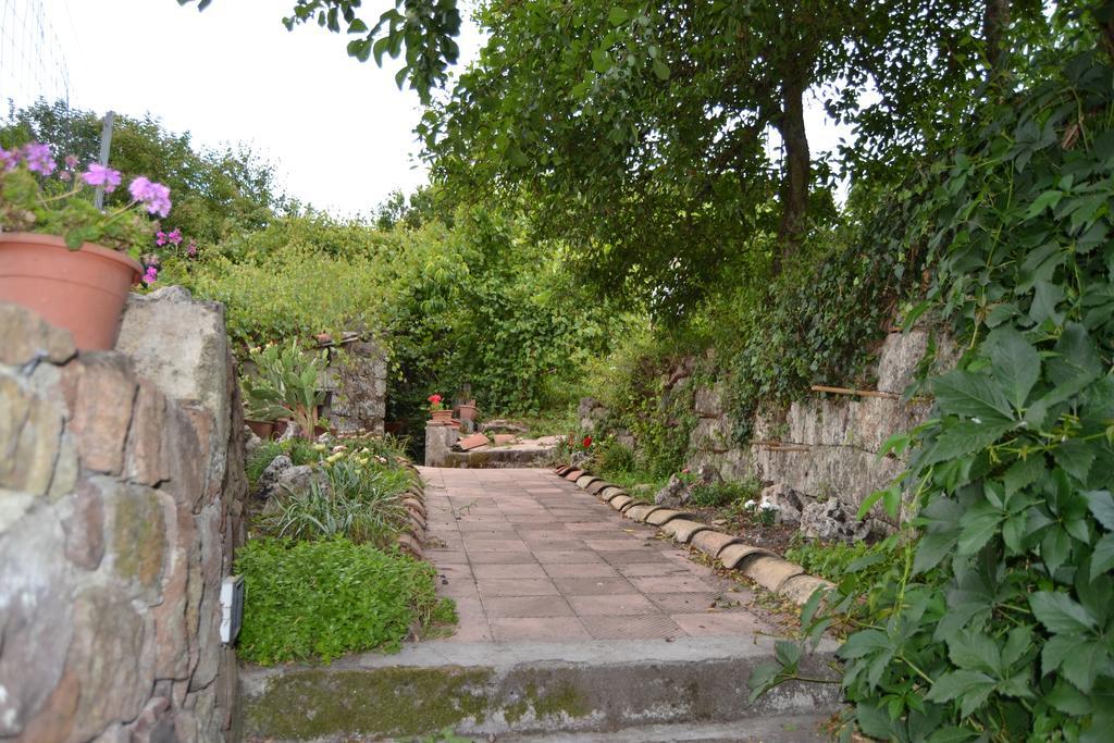 Su Cantaru Guesthouse Villanova Monteleone Exterior photo