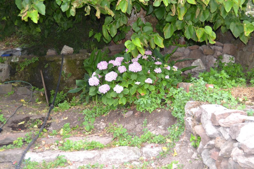 Su Cantaru Guesthouse Villanova Monteleone Exterior photo